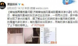 碧桂园爆料事件最新消息,最新进展揭秘，真相浮出水面